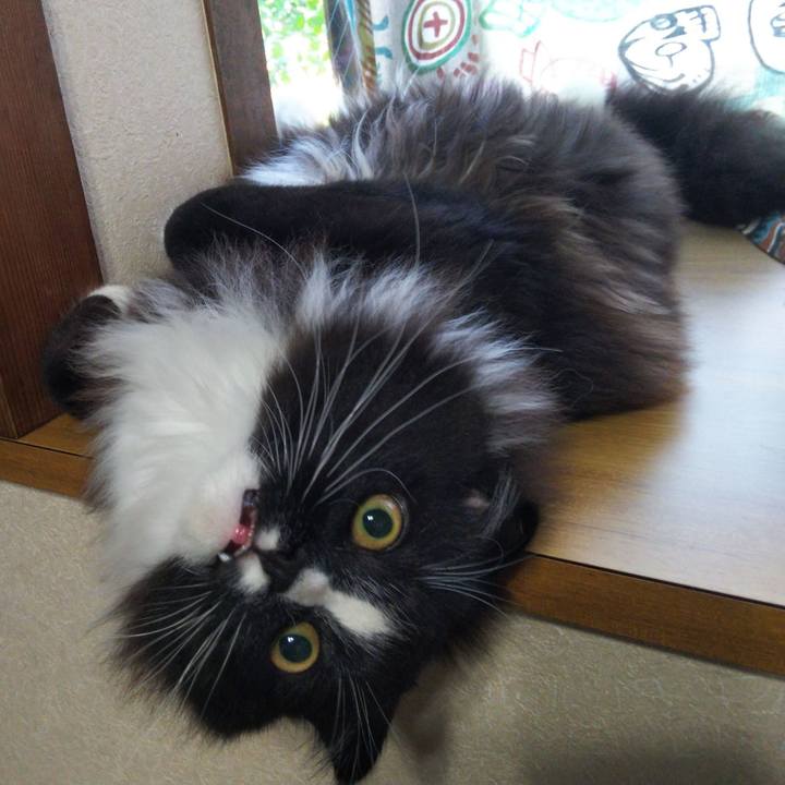 Bc47b6cb 493b 41f0 bd29 f492b1367ba9 1653432283304