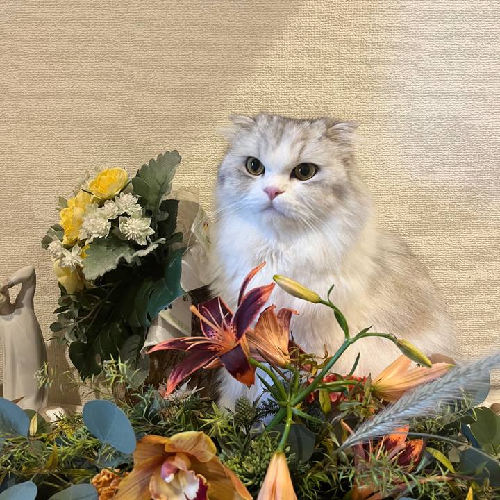 Bc482391 4cfe 4d49 a314 894d450806cc 1728686403816