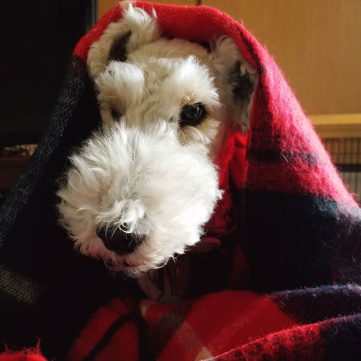 Bc483167 7f2e 458d a3f0 56b4091553fb 1543016842343