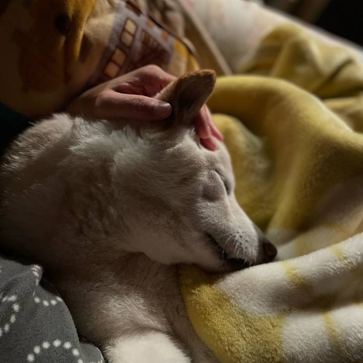 Bc486415 b1af 464c b7b2 ba81620a6a74 1648484716332