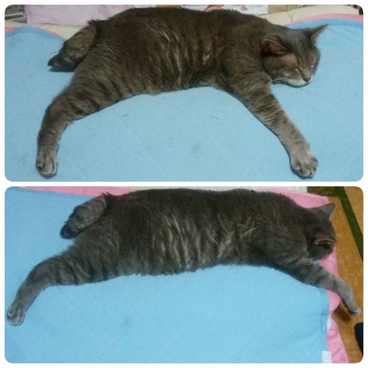 Bc487cdf a923 4c22 8891 8972f7b54e91 1537448816295