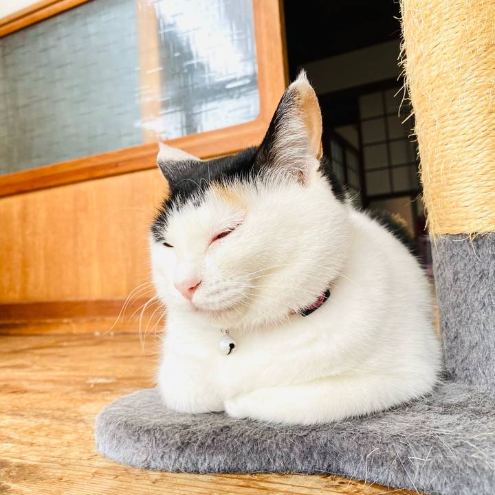 Bc48a7e3 b318 4da4 ab3e e75eeb33346c 1686574968647