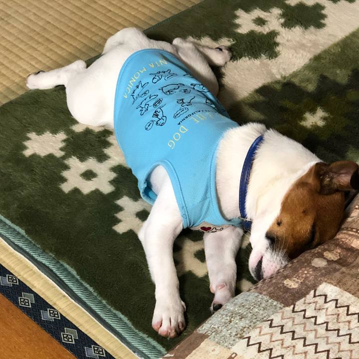 Bc48cab6 a6c0 49c8 b170 7697c1466619 1530840196581