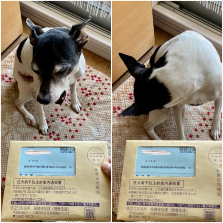 Bc48d63e dc74 4b8a 8dc9 96bc189ccc48 1618055983284