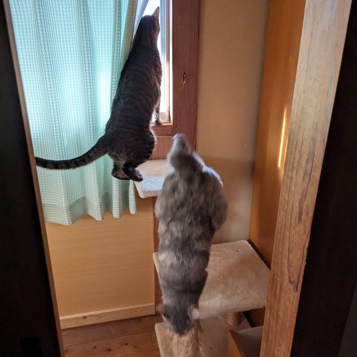 Bc48db8d b869 4dee 9dfd a043e033456e 1751190881477