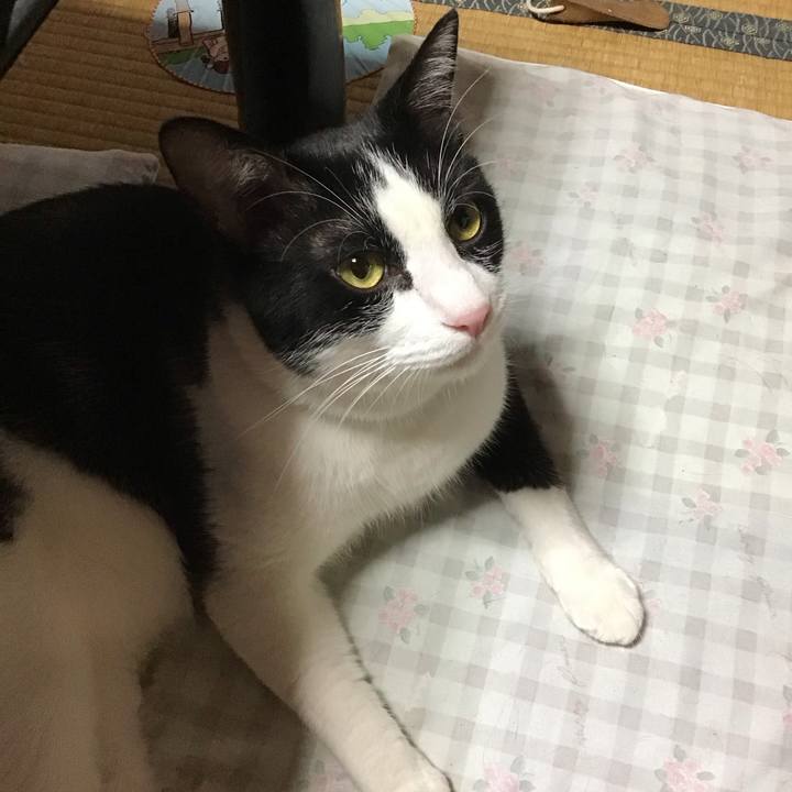 Bc48df9f 562a 4060 936c 2da641855b9e 1691062515798