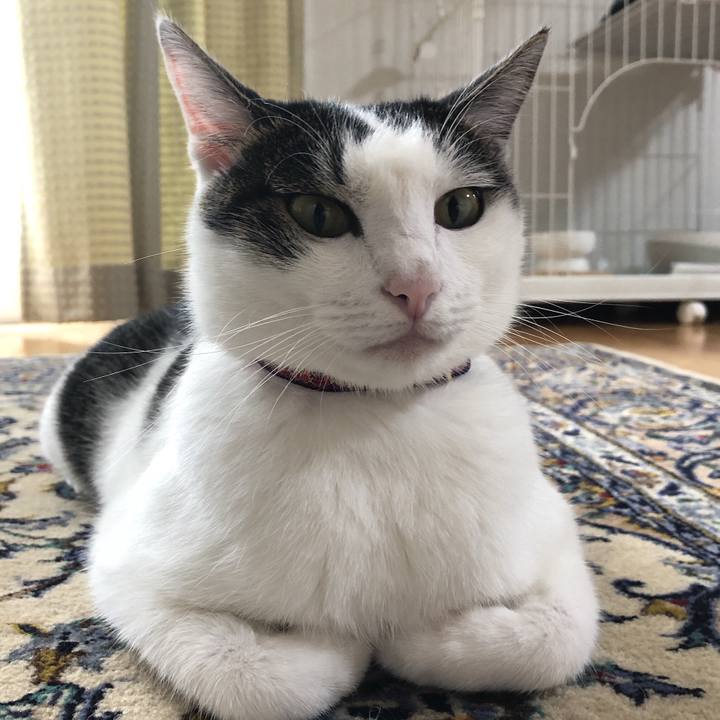 Bc4916ce 788f 40d2 9759 0fad835cf9d5 1632012574659