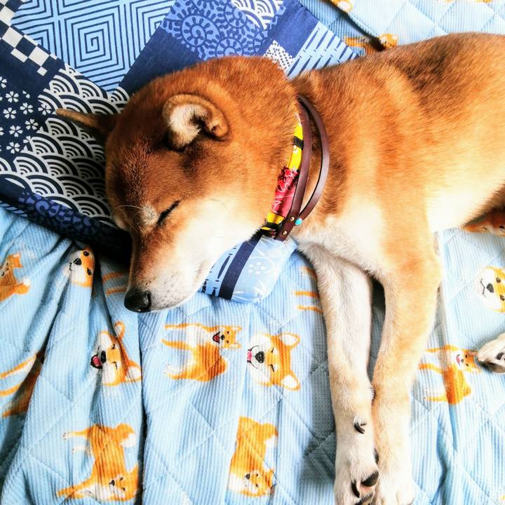 Bc49181f dbef 47e8 b292 7d16bc1172e9 1602467226840