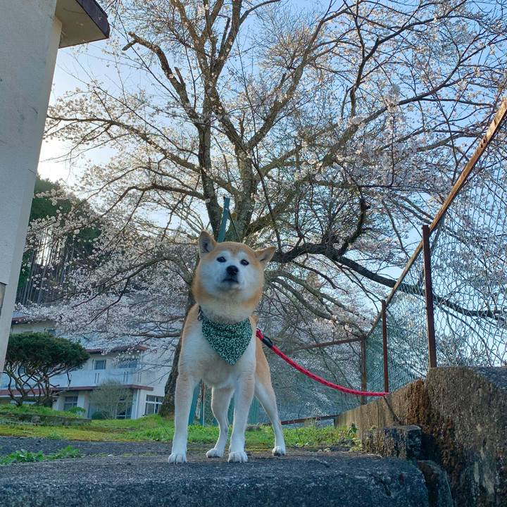 Bc491dff 8b05 4da0 8ba3 d75684ff4aae 1680168239533