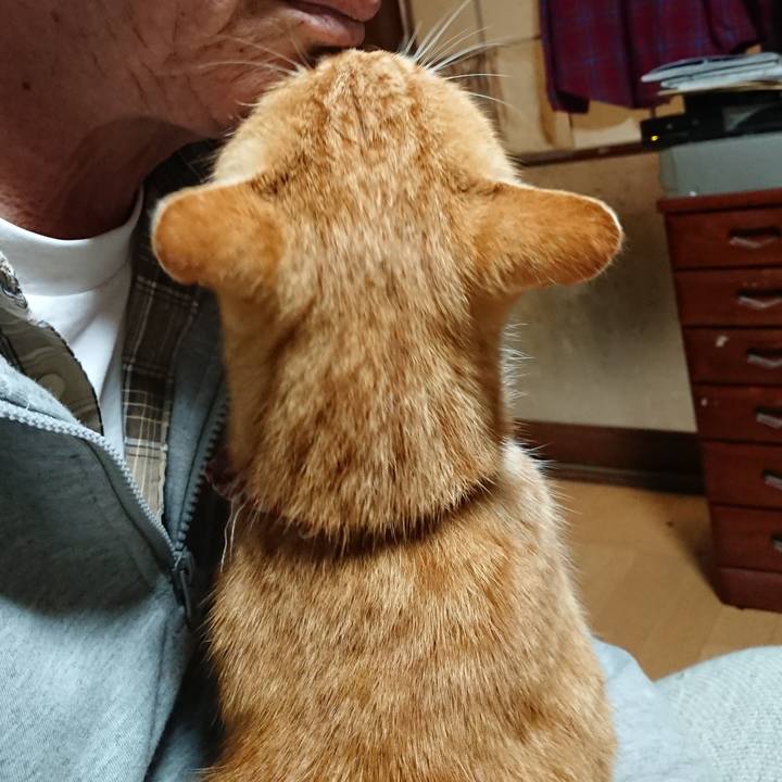 Bc49694f 2155 4144 ac83 0e7d8ab51168 1605990270756