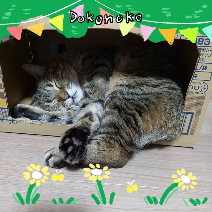 Bc496c66 ebe0 4a35 9ae3 3dafa9c1b334 1711017545501