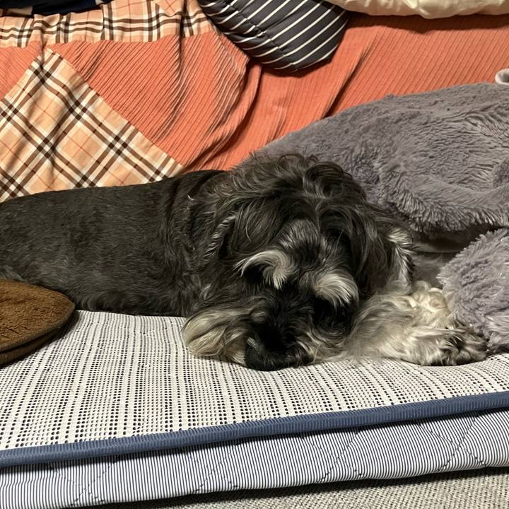 Bc49777d a7b5 4dcc a5a0 a84a300ac5fb 1724767710646