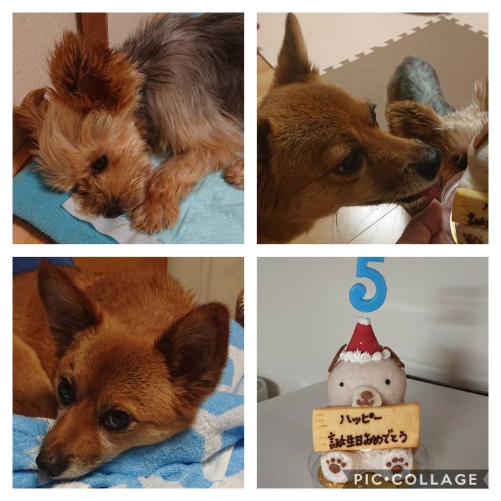 Bc498ec1 3aaf 44f5 a77e af2190afe4dd 1570360652912