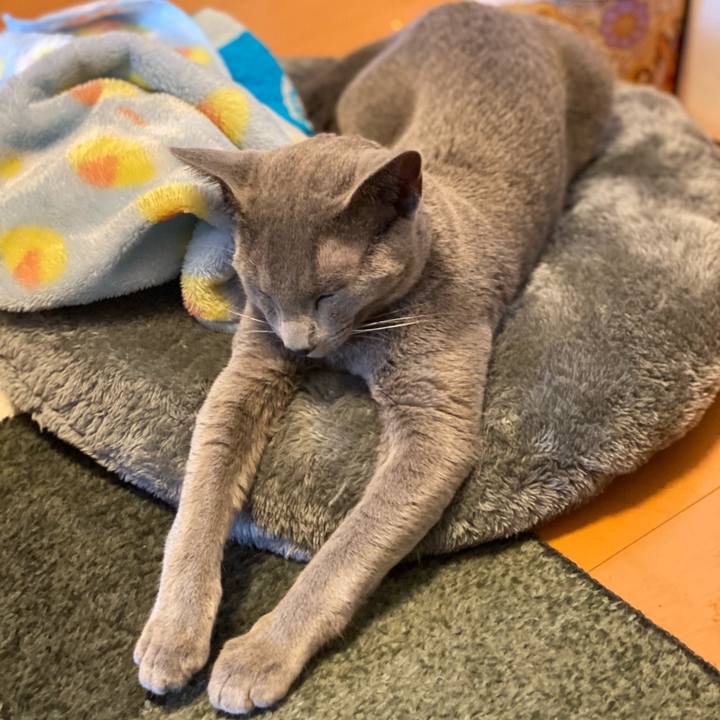 Bc49ab38 0193 4653 b77a 2976a8db8720 1613796158402