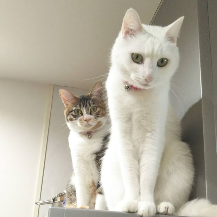 Bc49e230 90aa 4ccf 9b48 0cd248ae3eb0 1706401466915