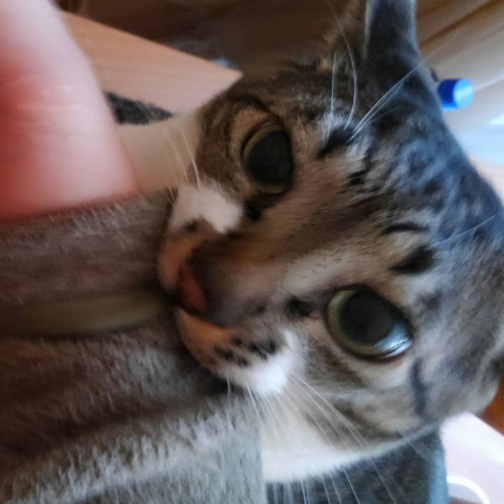 Bc49f2cd be77 4c8f aac0 ceade307c166 1514325576151