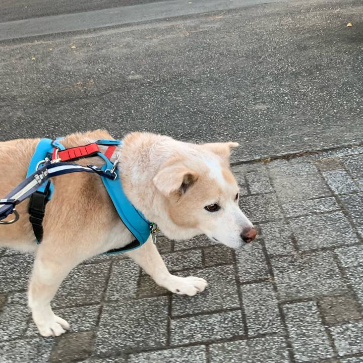 Bc4a0d6f 626c 463b 877d 2b640f1b4e91 1674521232208