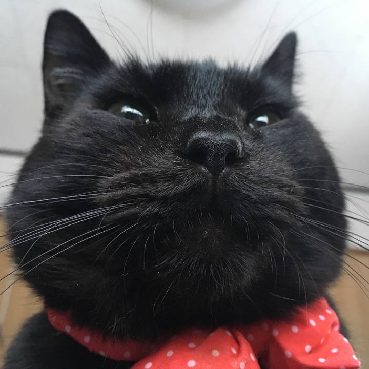 Bc4a10ca 1fc4 4c00 b72a b13af1e8647f 1550910081800