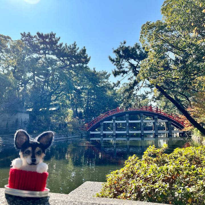 Bc4a1877 f16b 4ebe 8b9d c69c36001e58 1668244044947