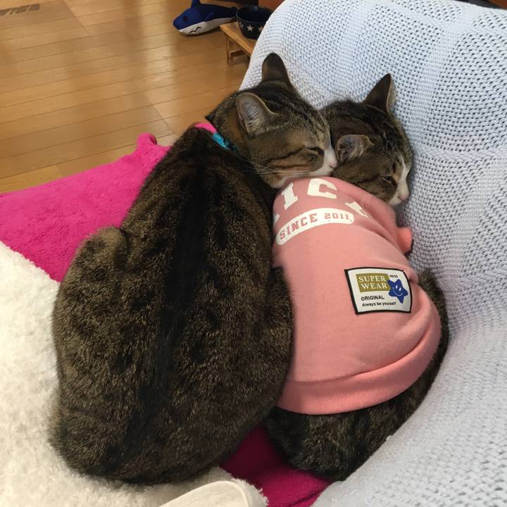 Bc4a216c df9d 4a1f b8e2 fe428e64da17 1676188577280