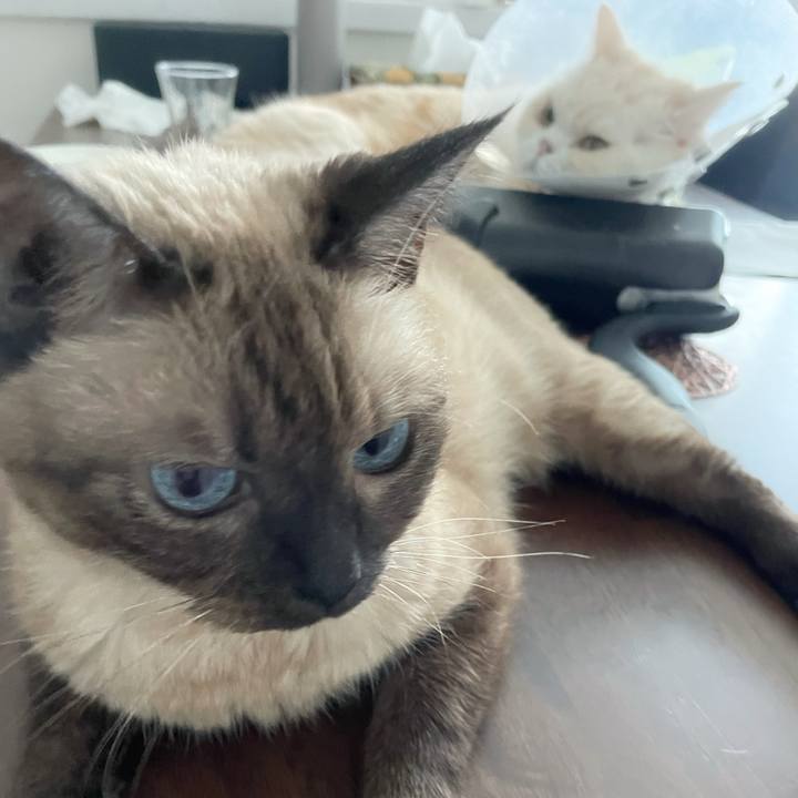 Bc4a4508 86aa 4995 b09a 91b6c0fb55cb 1758420059675