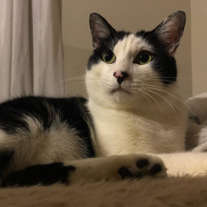 Bc4a55a5 4f12 4e9d a331 7ff269cfebdc 1553351489141