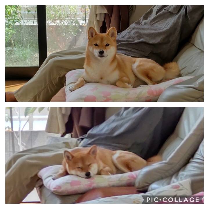 Bc4a9a5a fb18 4b78 b871 ada50c21f6d2 1666421319491