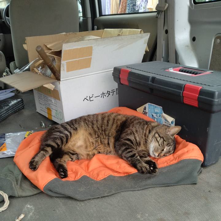 Bc4ad57d 3d24 4421 88a8 cc2b8ee78685 1686535374942