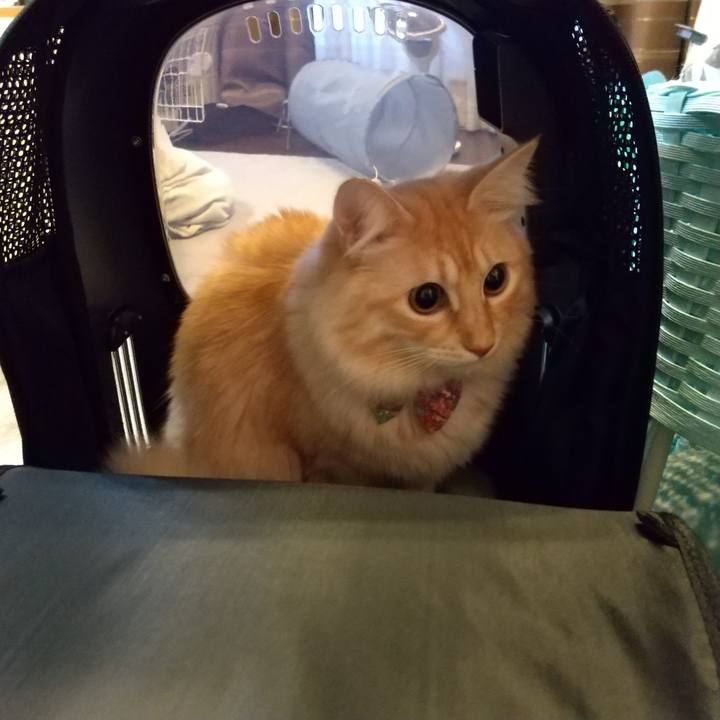 Bc4ae8b1 b65c 4285 b9b2 92e1a5ec94a3 1637229235198