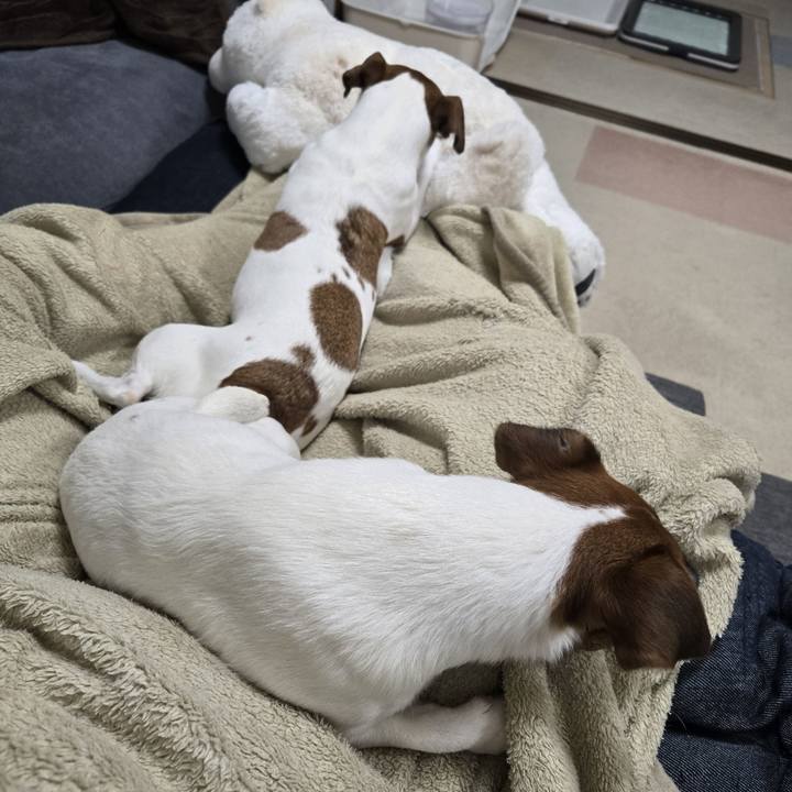 Bc4af242 1ee3 4e84 a7c6 af83983ac03f 1767876606028