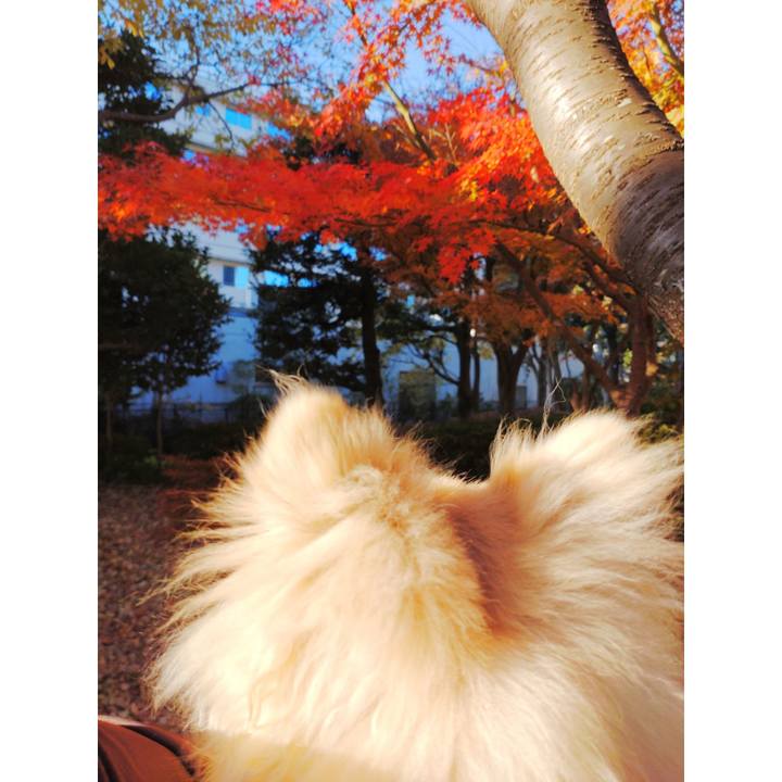 Bc4b0ae2 d3fd 4ac4 931a 5ae864dd5fa6 1733801586307