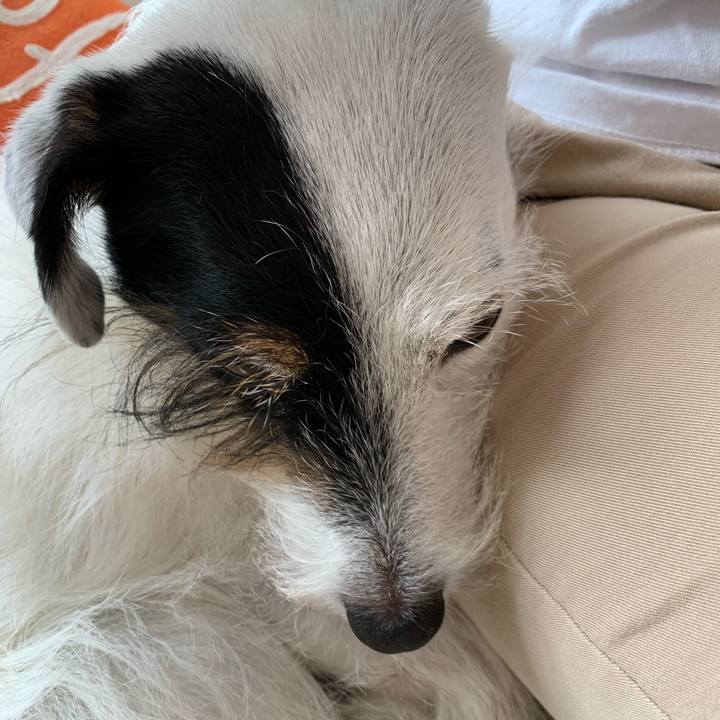 Bc4b0ed4 d779 4b85 820d d0aefe1a8a6c 1727142245226