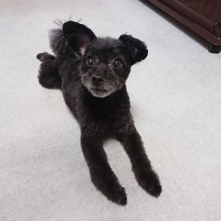 Bc4b18ff ea30 4ebd bbfd a63748bd4ff3 1537079511158