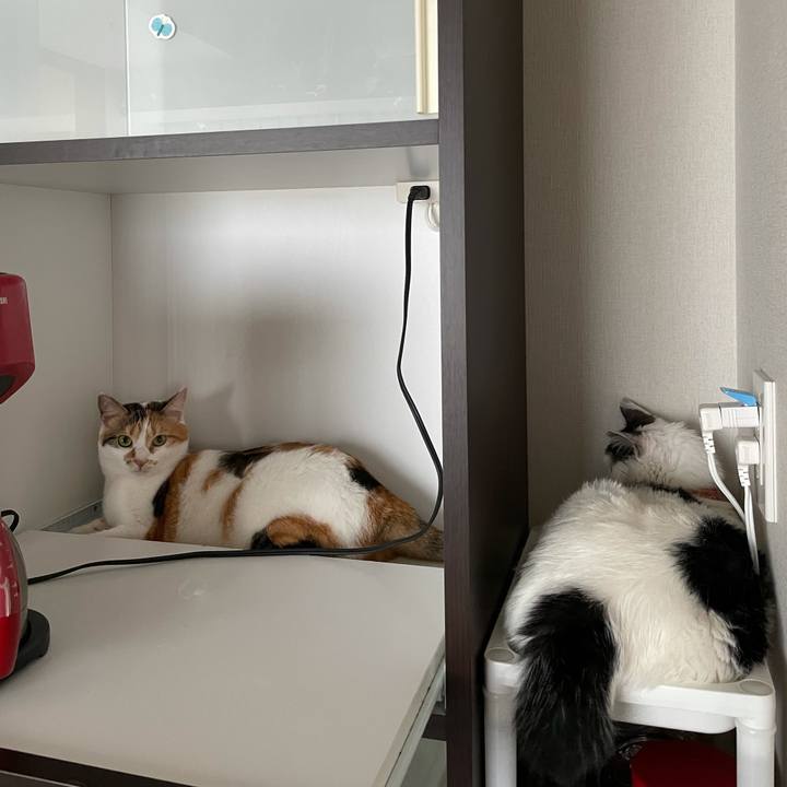 Bc4b326b bfa1 4faa bcd2 ff2becf0a40c 1624410608720