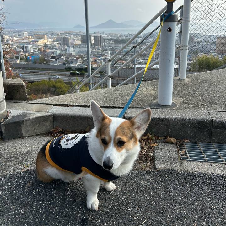 Bc4b94ba c1a5 42bb 8e28 45bf19ced1cf 1766308951103