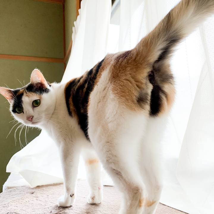 Bc4b9c6a 0ec1 44f9 a3e4 6ceb1bc4b08e 1545615476175