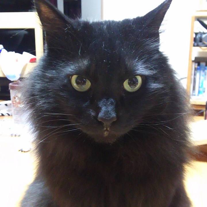 Bc4bc4fc 42ba 4e47 beae 0ad5a8b5a625 1551361176306