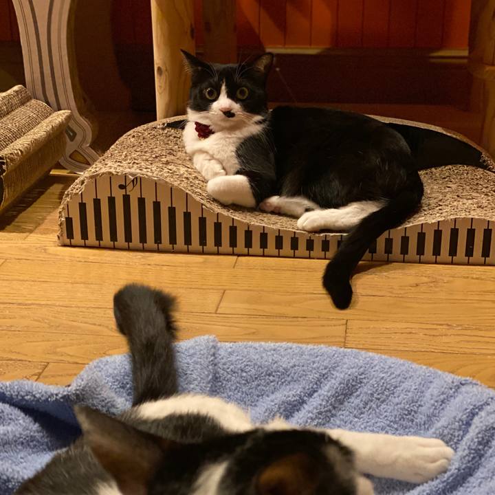 Bc4bdf25 6dcf 42f9 9ae1 14db2bbf5aa0 1579704252587