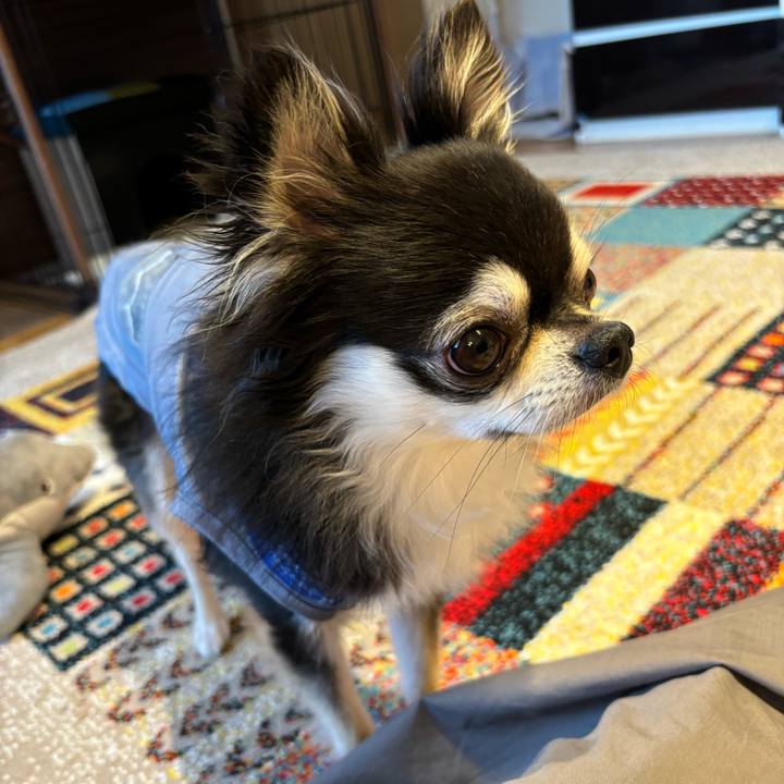 Bc4be89d 4f56 4623 968d e85f86fc6f18 1723305235633