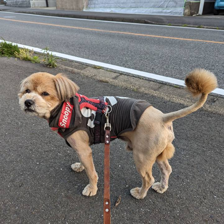 Bc4c1c42 bfb0 4b50 9d36 5fbb3c8b24e4 1681293781408