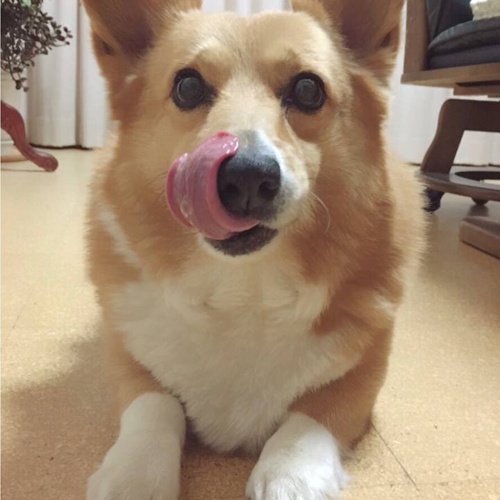 Bc4c21fe ad21 4947 883f 9858c9a8e793 1543665777862