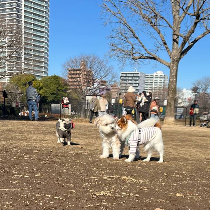 Bc4c2c0d 2d58 40f9 80ed 8c50f9a92973 1766896453264