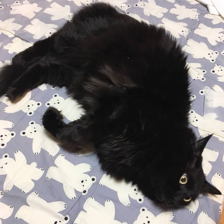 Bc4c32a7 e29b 4dd3 bcd4 55a40ae83686 1521553110606