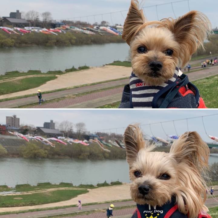 Bc4c9ae4 1ef4 4c98 a7b2 8349d94e0f25 1650623912653