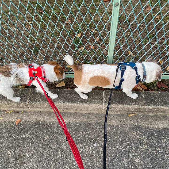 Bc4ca13a 117f 438e 9bd3 ff16304fa377 1639434818339