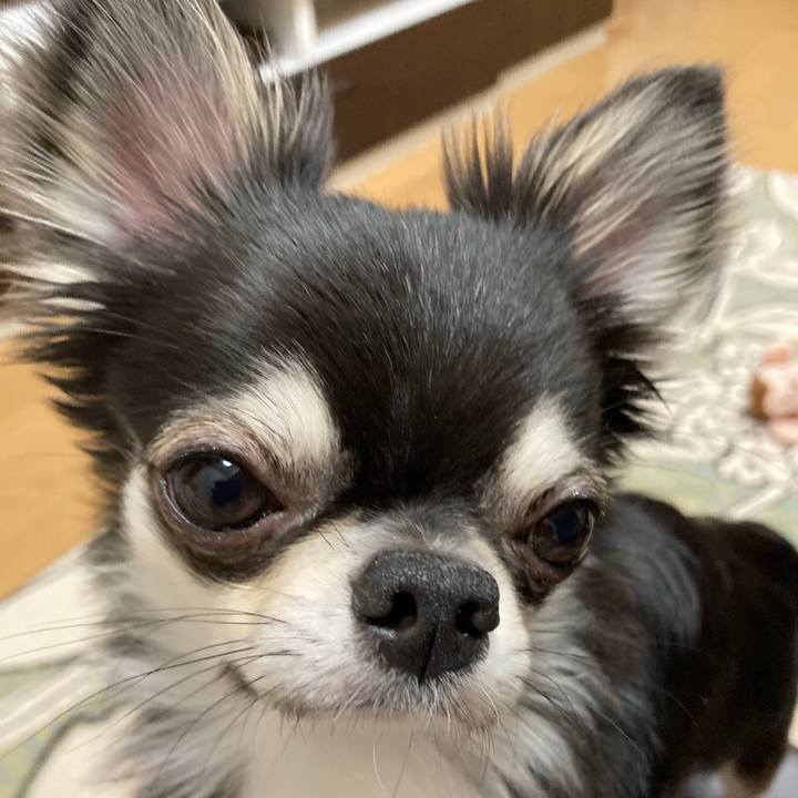 Bc4cc58d 2b95 4d10 89ae 1259ec7dfb19 1622381487832