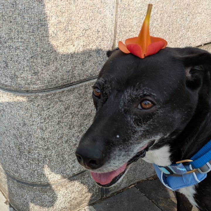 Bc4ce13e 5206 4974 9399 65a10849e05e 1750204955133