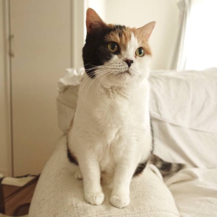 Bc4d25fc 4843 48ed 8adf bb2b1d14e82c 1566379832933