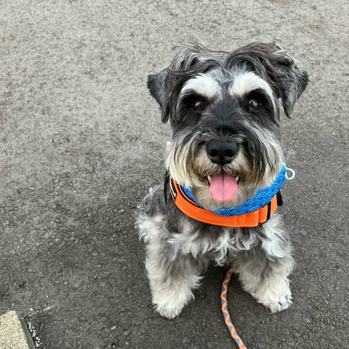 Bc4d3236 162c 4d2e b146 3669ef20261b 1721484986799