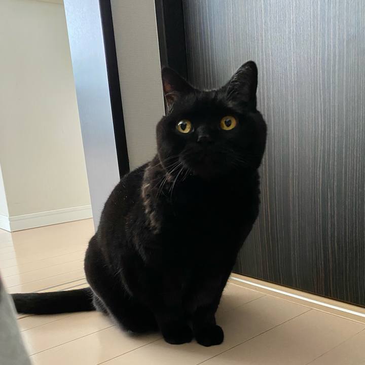 Bc4de171 a7f6 4d7c b088 ce8085477cc4 1769672993718